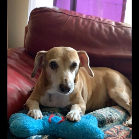 Meet your Posher, Kristal - Picture 1 of 1